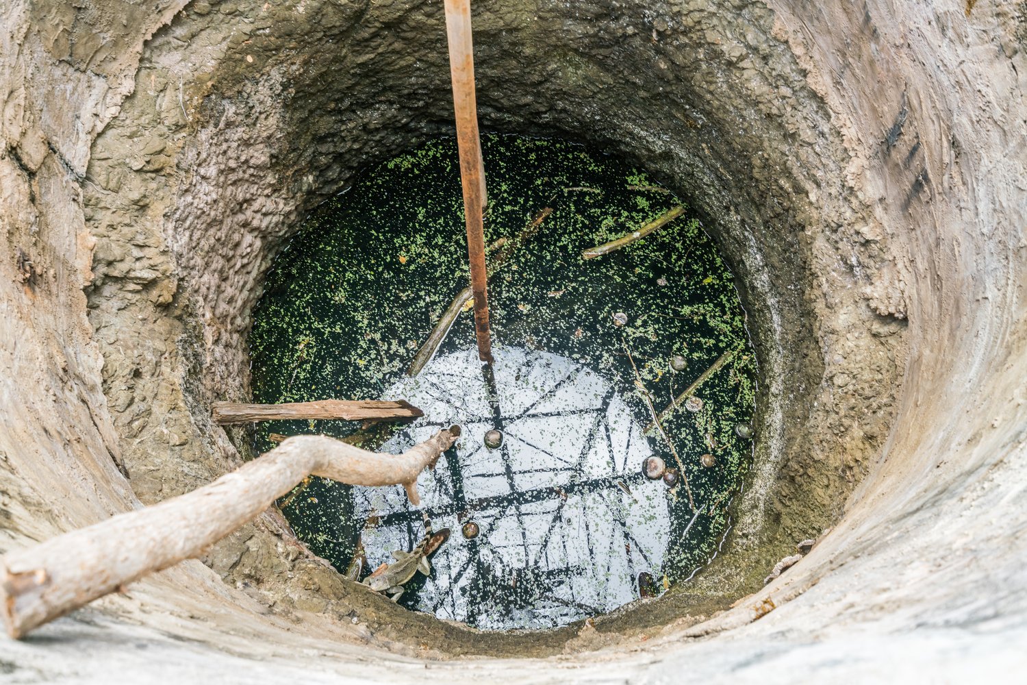Problem z nieprzyjemnym zapachem z kanalizacji – skuteczne metody eliminacji